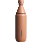 All Day Slim Bottle | 20 OZ - Stanley Create