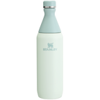 All Day Slim Bottle | 20 OZ - Stanley Create