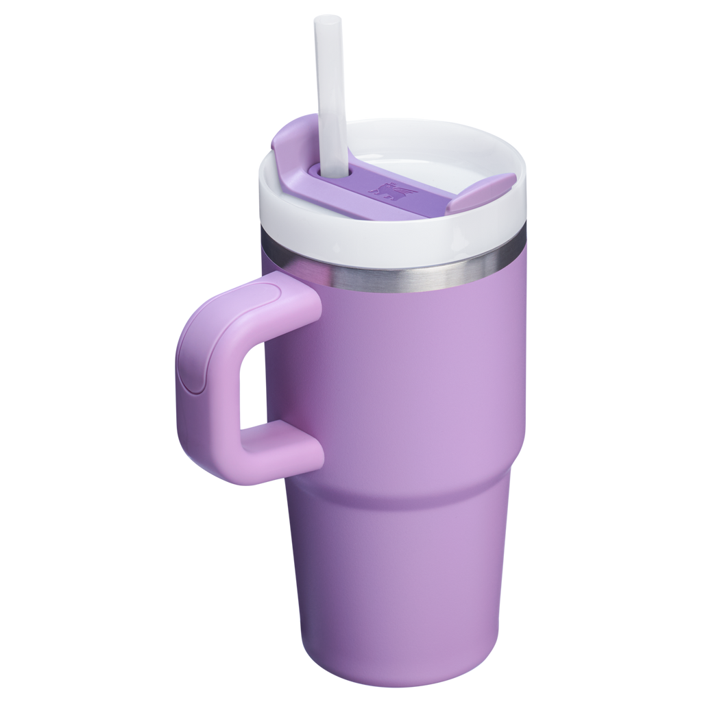The Quencher H2.O FlowState™ Tumbler with Handle | 20 OZ - Stanley Create