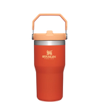 The IceFlow™ Flip Straw Tumbler | 20 OZ - Stanley Create